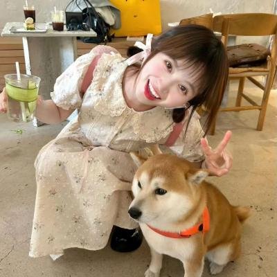 12猛汉